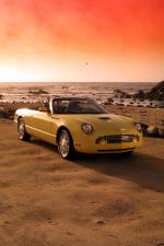Ford Thunderbird 2002 года